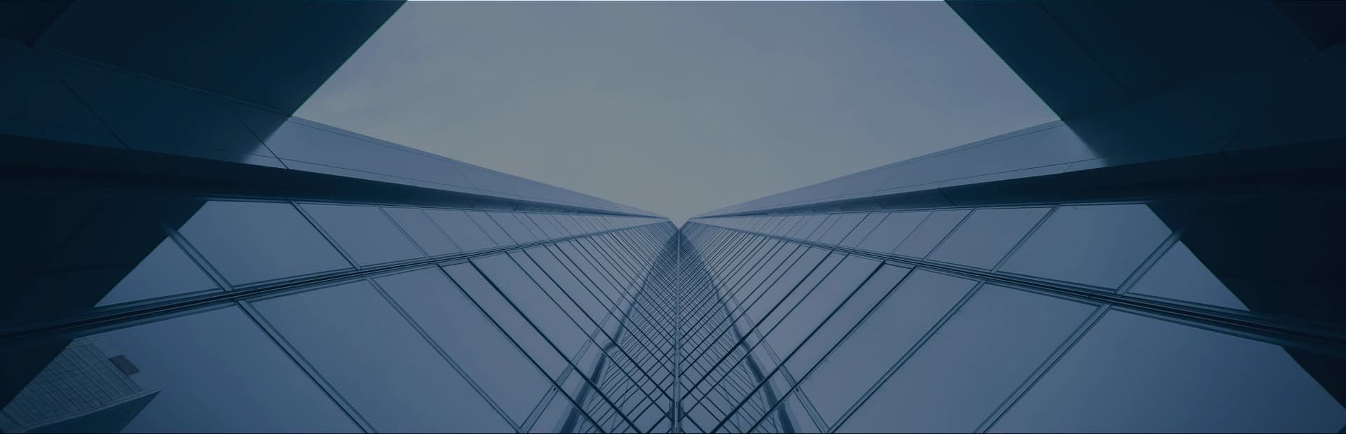 A Working Style Teams Can Plan Around Background Image