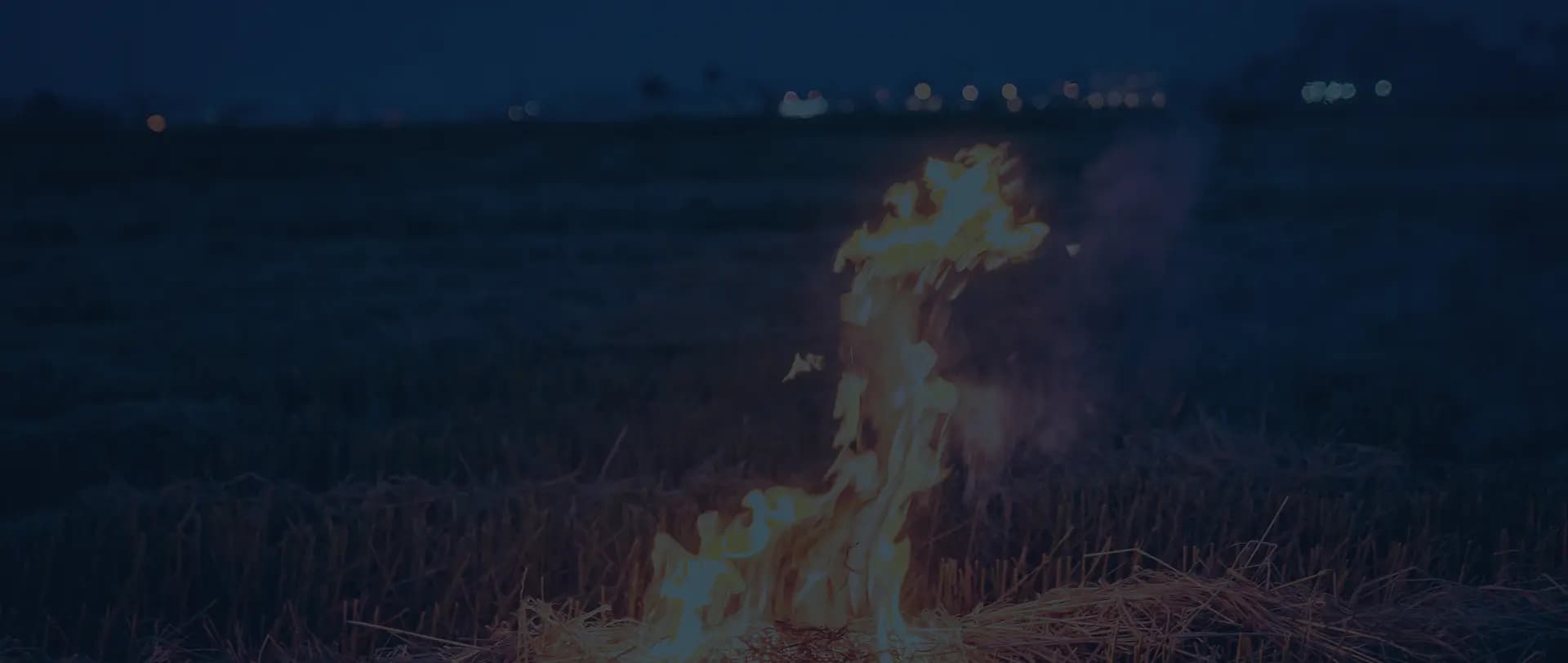 Track Burn Activity and Coordinate What Happens NextImage