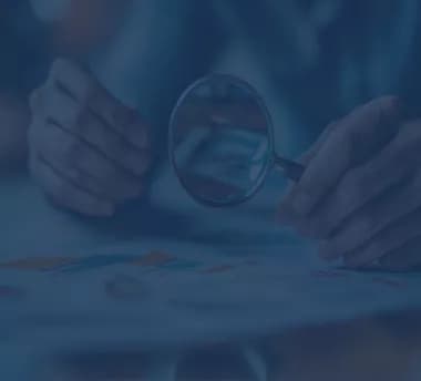 Our Focus - Relevant Findings