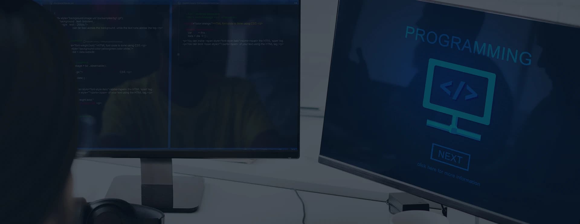 Custom Software Development ServicesImage
